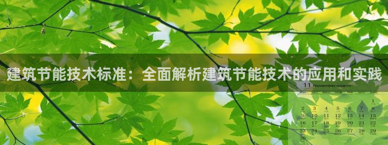 e尊国际客户端：建筑节能技术标准：全面解析建筑节能技术的应用和实践