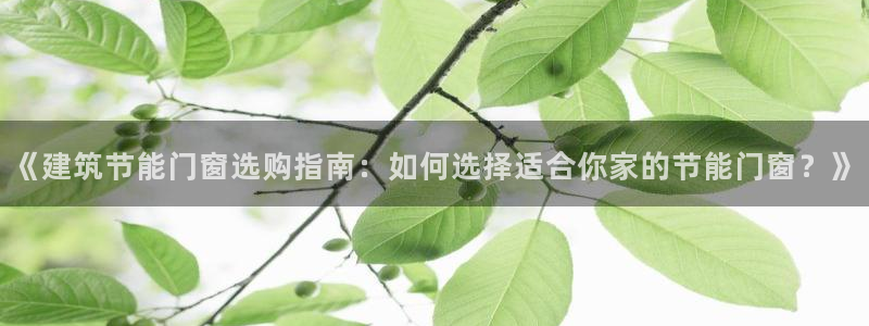 e尊官网：《建筑节能门窗选购指南：如何选择适合你家的节能门窗？》