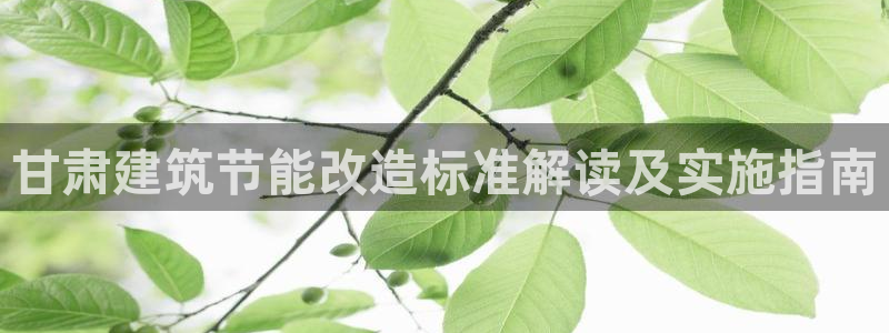 e尊国际可靠吗：甘肃建筑节能改造标准解读及实施指南