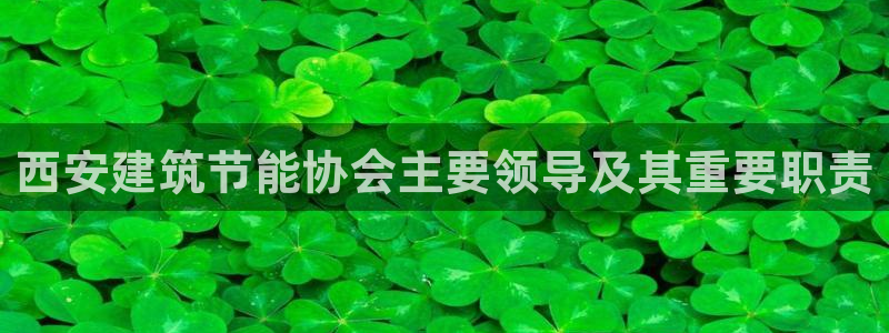 e尊平台：西安建筑节能协会主要领导及其重要职责