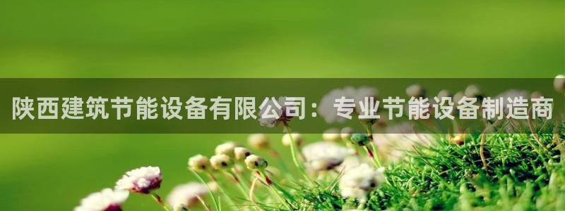 e尊国际app：陕西建筑节能设备有限公司：专业节能设备制造商