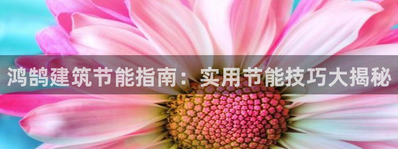 e尊国际-可可计划：鸿鹄建筑节能指南：实用节能技巧大揭秘