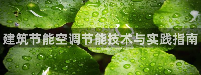 e尊国际客服：建筑节能空调节能技术与实践指南