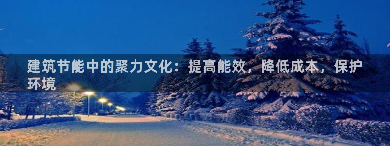 e尊国际官网app：建筑节能中的聚力文化：提高能效，降低成本，保护
环境