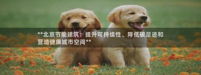 e尊国际客户端：**北京节能建筑：提升可持续性、降低碳足迹和
营造健康城市空间**