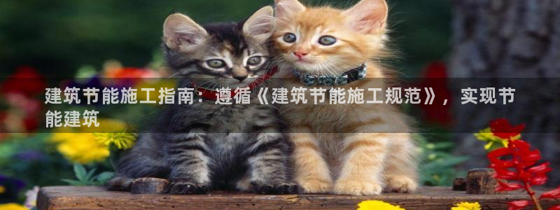 e尊国际网址