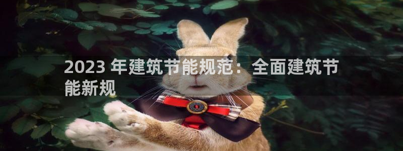 e尊国际平台：2023 年建筑节能规范：全面建筑节
能新规