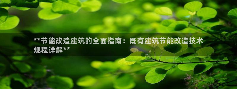 e尊国际官网app：**节能改造建筑的全面指南：既有建筑节能改造技术
规程详解**