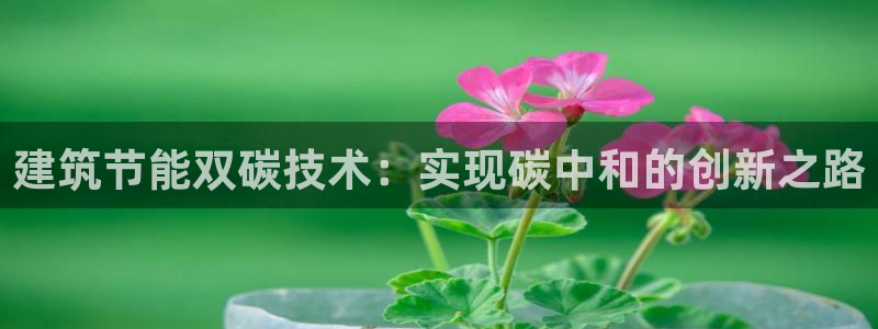 e尊国际官网