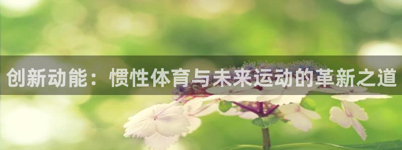 球速体育