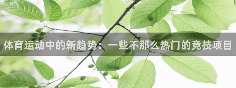 球速体育