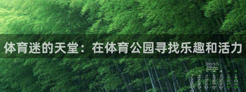 球速体育