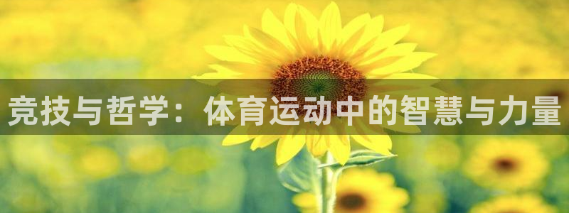 球速体育