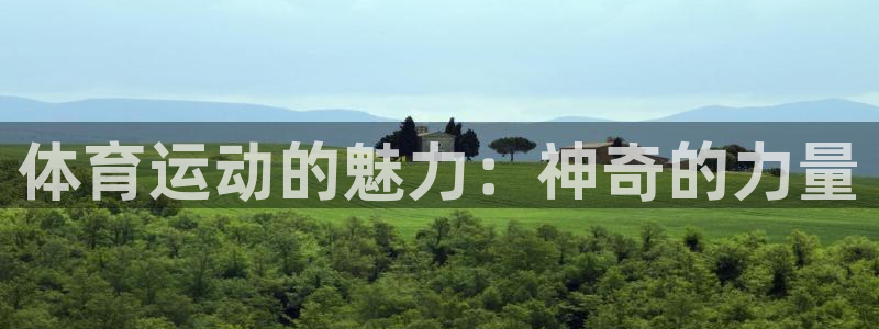 球速体育
