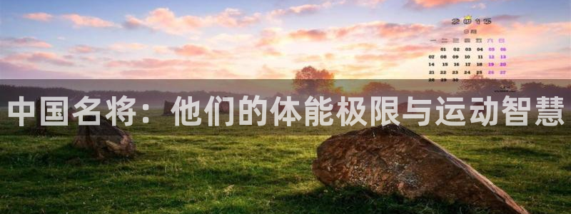 球速体育