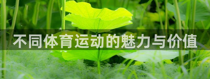 球速体育