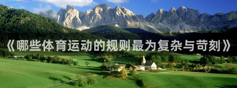 球速体育