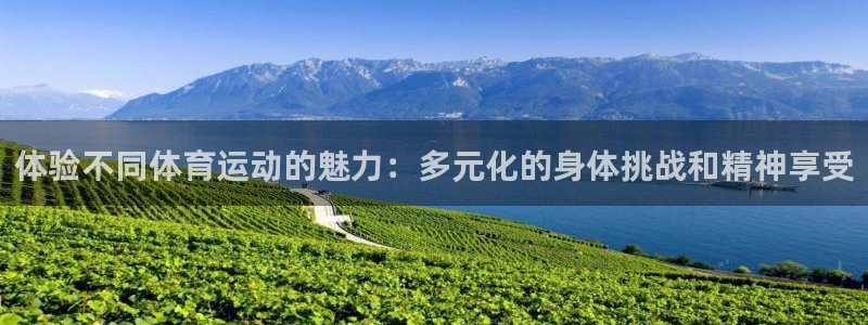 球速体育