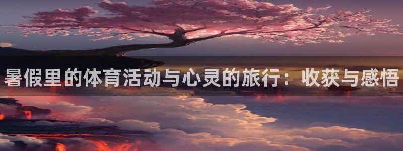 球速体育