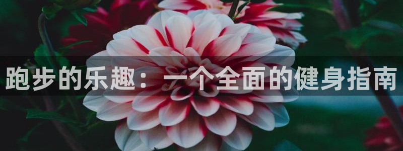 球速体育