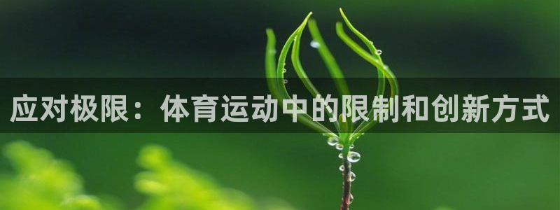 球速体育