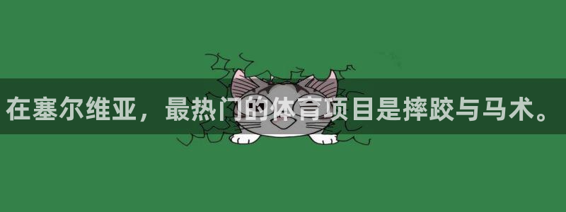 球速体育