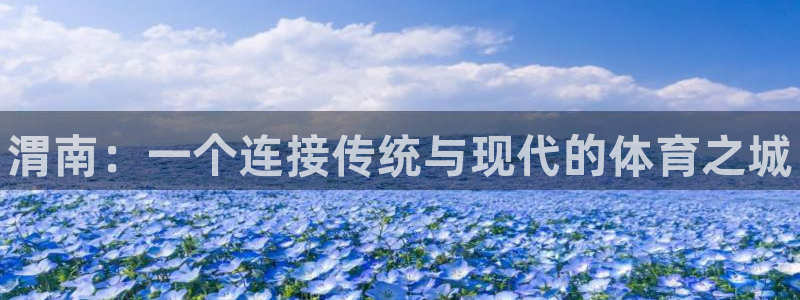 球速体育
