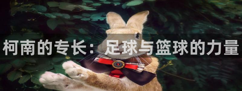 球速体育