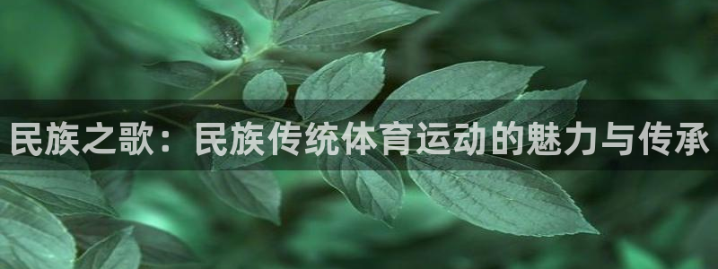 球速体育