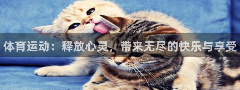 球速体育