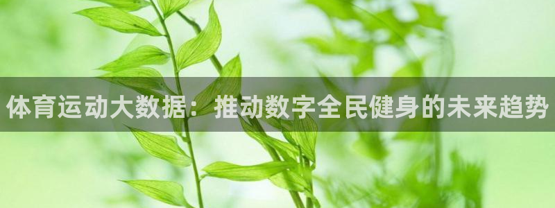 球速体育