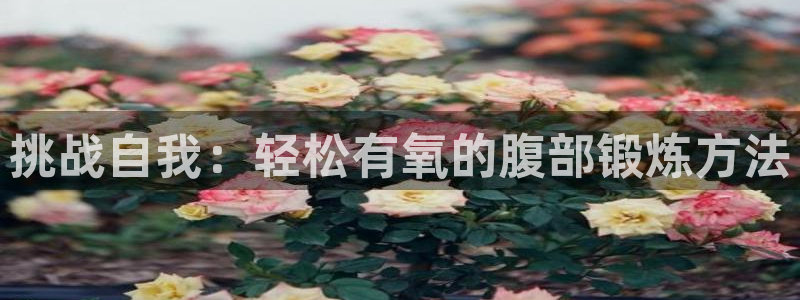 球速体育