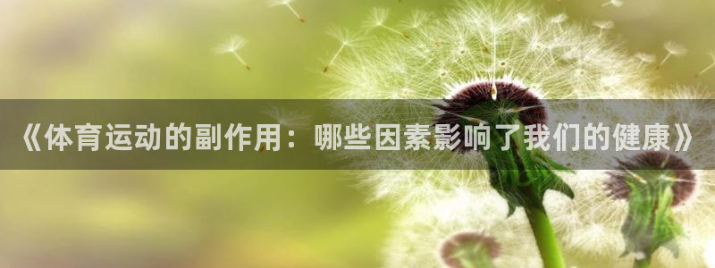 球速体育
