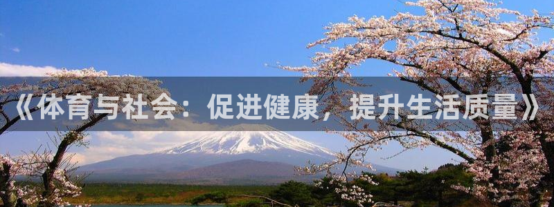 球速体育