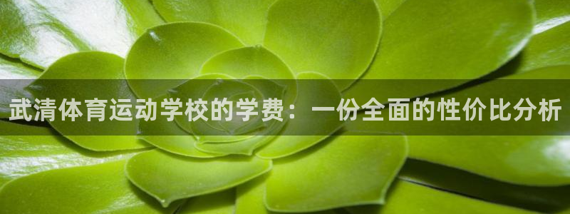 球速体育