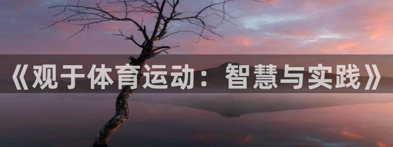 球速体育