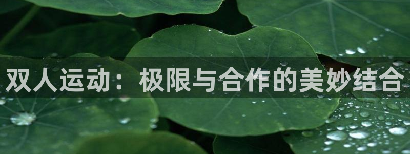 球速体育