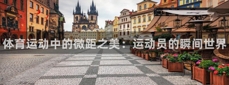 球速体育