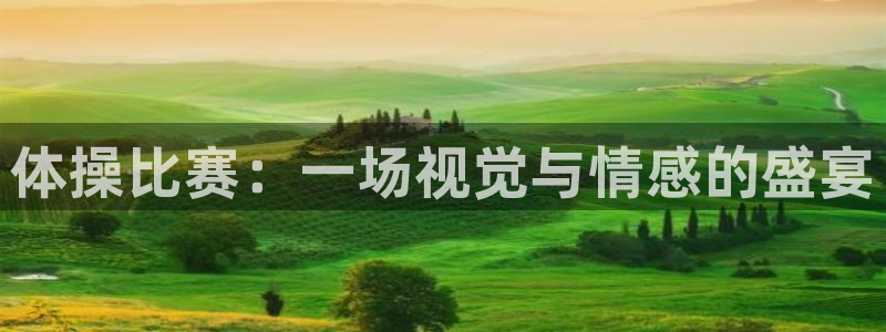 球速体育