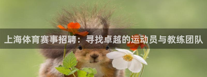 球速体育