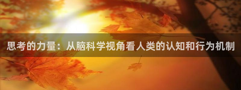 球速体育