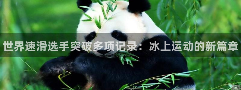 球速体育