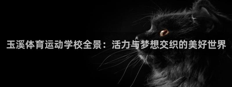 球速体育