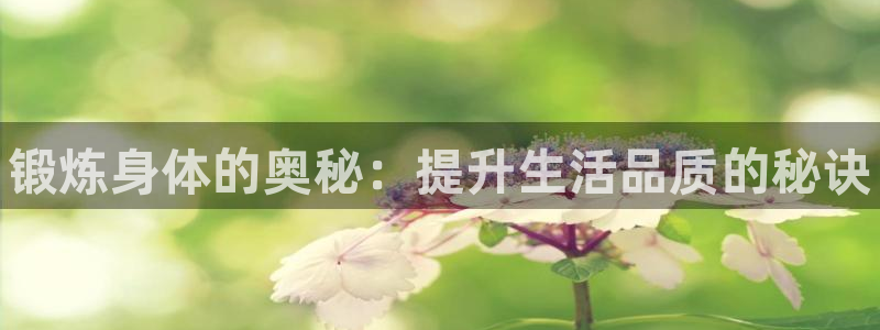 球速体育