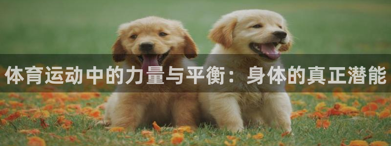 球速体育