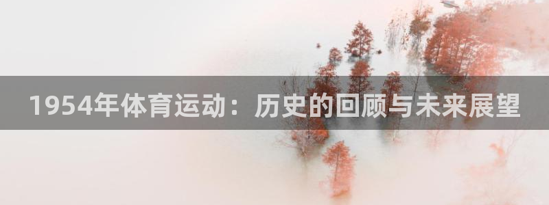 球速体育