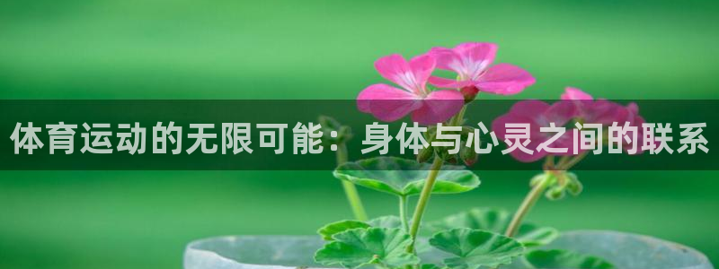 球速体育