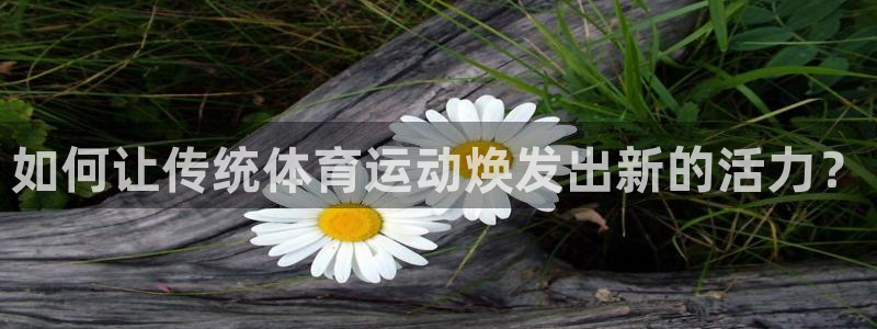 球速体育
