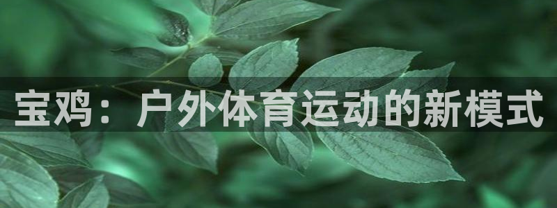 球速体育