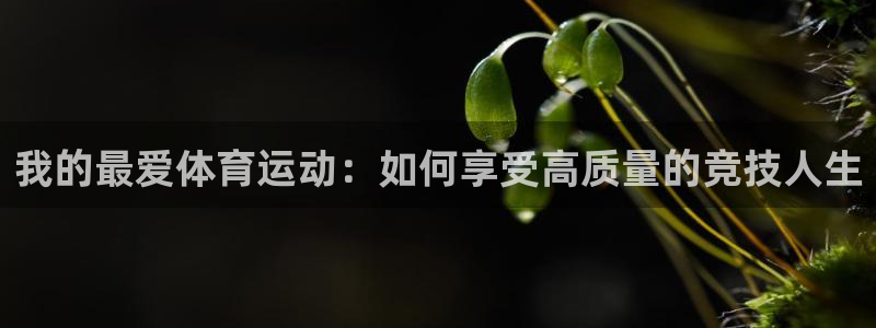 球速体育